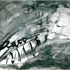 Blwh080001c