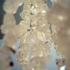 Diamond_elinor_8