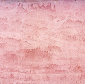 Landscape_clear_and_radiant