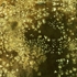 5_arrangement_in_gold