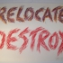 Relocate_destroy___heap_of_birds_86