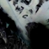 Feather_pen