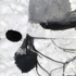 Borkelman3a3__artistimage