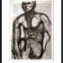 Winston_torr_01-sud