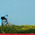 _lg_-smother-_bmx_