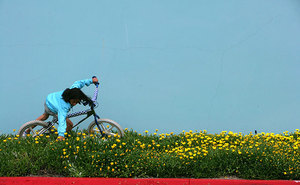 _lg_-smother-_bmx_