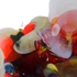 G_zhasad_81_5x142_5