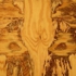 Barren_indecision__4_copy