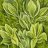 Gentle_awakening_web