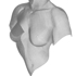 Femaletorso17_2_web