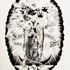 Superpluresunus