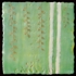 Margo_mullen_growing_almond_8x8_lg