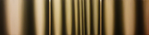 Jlee_shade