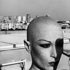 1235775886-crane_rase_2