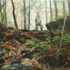 Camouflage_boy_print