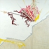 Davidow_the_new_strain__2_2008