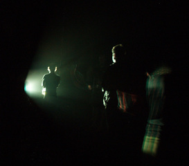 Projection in Forest,Vanessa Albury