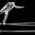 Flight_of_santo200