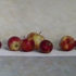 2008-03-08_041