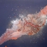Bonita_helmer_acrylic