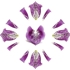 Digitalis