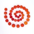 Arbutus_spiral
