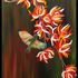 20110118111112-wild_flowers
