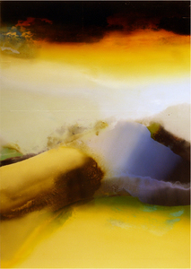 Jm_phenologicmemory-72x48