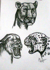 Evil_faces