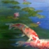 Gmkoi1
