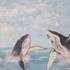 Humpback_whales