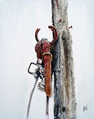 Mesquite_lg