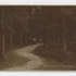 Inthepines