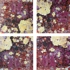 Liken_lichen_4_panels
