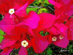 Flora_2_oil
