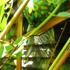 Nature-sky_igirex-july_august2008_011