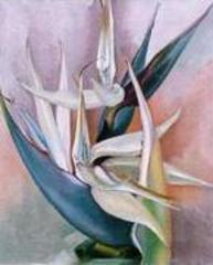 Georgia OKeeffe: Abstraction Whitney Museum of American Art sportsmanship definition essay