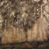 Cosm_polis_111