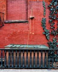 Pulley,Mark Woods