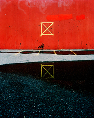 Strike zone,Mark Woods