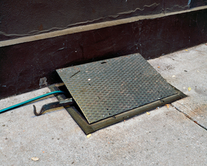Trap Door,Mark Woods