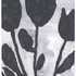 Baechler1249