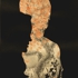 Elmer_s_giant