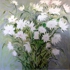 48x48_big_white_movin_floral