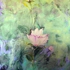 Dlv_3_48x_64