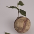 Ali_bailey_027