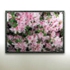 Grid_flower_triptych