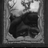 Gris_icon2