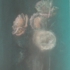 Rose__cm_50_x_24__2007