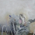 Dsci0061__2_